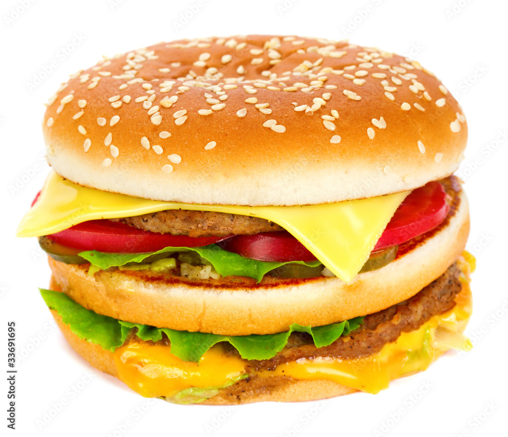 cheeseburger isolated on white cheeseburger isolated on white