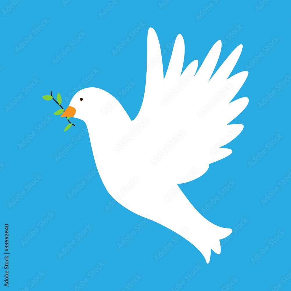 Obraz premium Weiße Taube