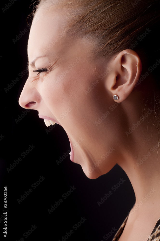 Scream Scream