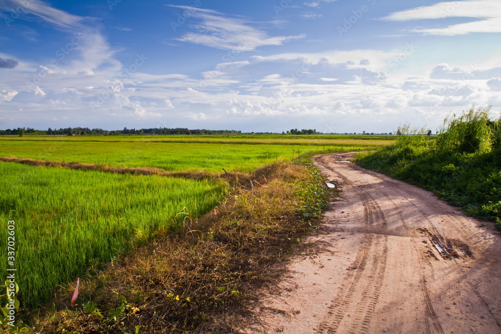 Country road along the paddy in countryside of Thailand Country road along the paddy in countryside of Thailand
