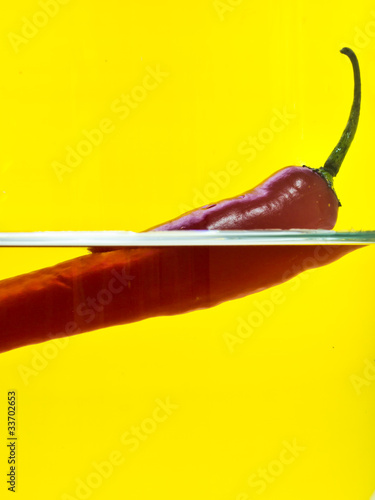 Long red chili floating on the water with yellow background