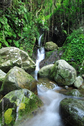 Waterfall making its way into a pond in the rainforest photo