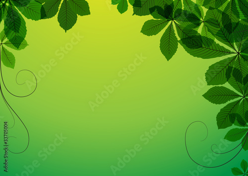 Abstract background with green chestnut leaves