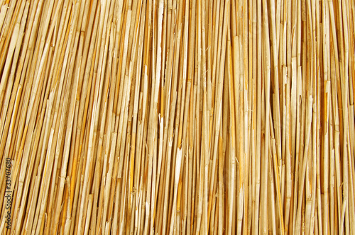 texture of cane dry