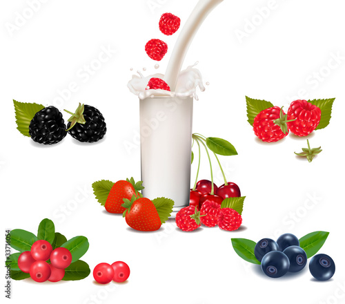 Raspberry falling into the milk splash. Vector illustration.