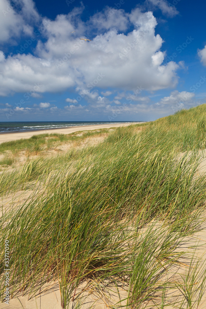 Sand dunes with helmet grass Sand dunes with helmet grass