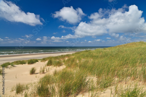 Fototapeta Naklejka Na Ścianę i Meble -  Sand dunes with helmet grass