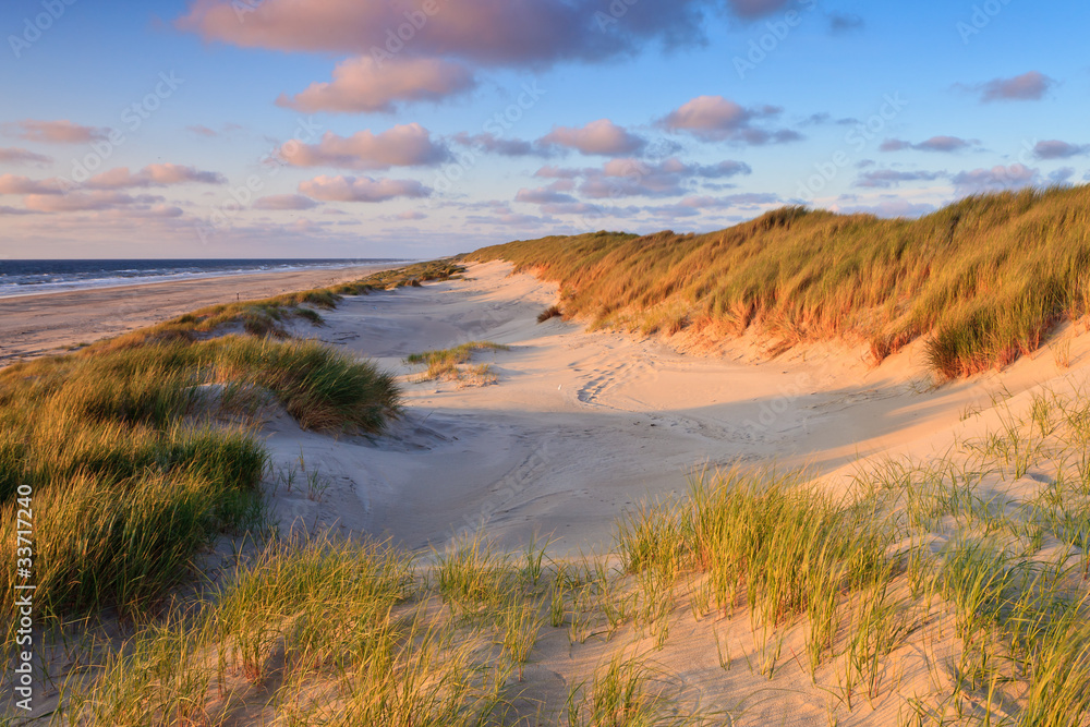 Seaside with sand dunes at sunset