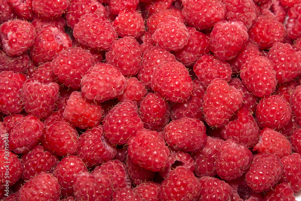 Raspberry Raspberry