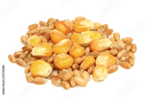 Obraz na płótnie Grains de céréales w salonie