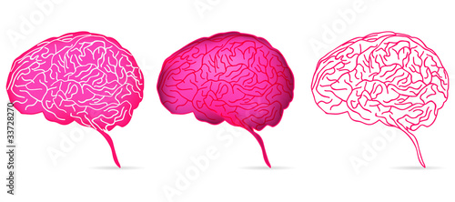 set of head profile with brain isolated on white