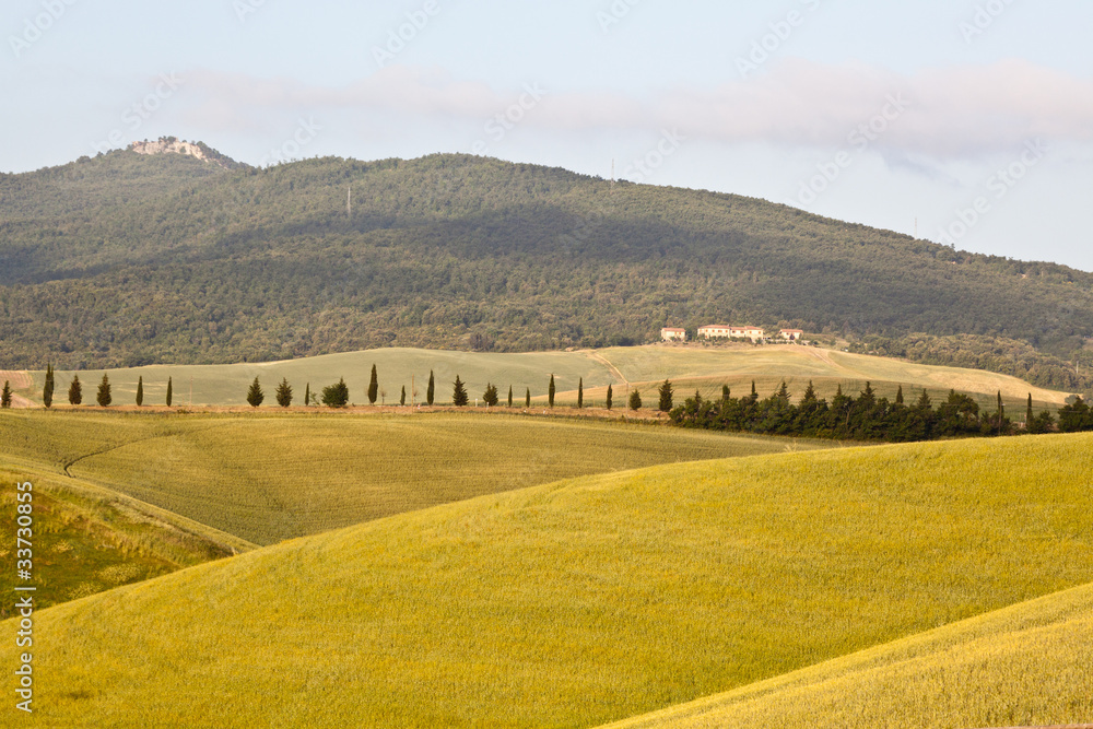 Tuscany Hills at Sunrise