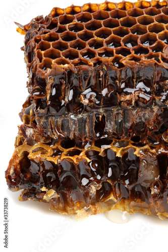 Brown honey comb