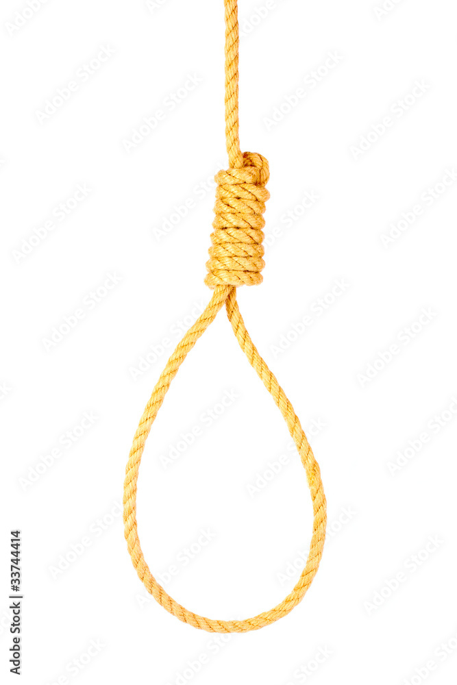 Suicide Noose isolated on white Suicide Noose isolated on white