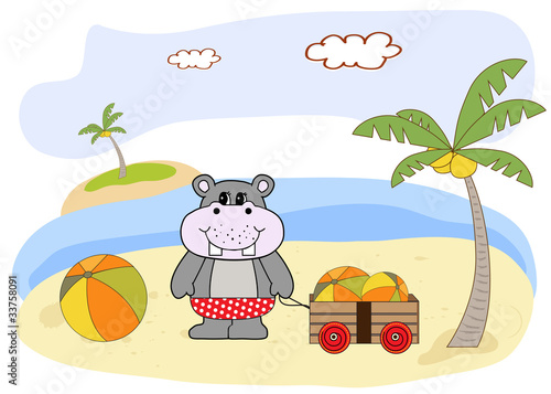 hippo play on the beach