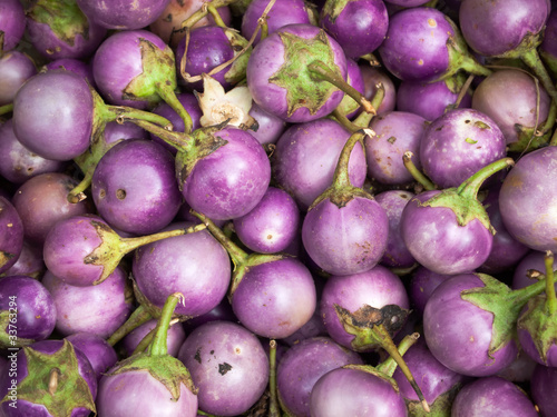 Purple eggplants