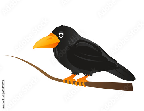 crow on a tree