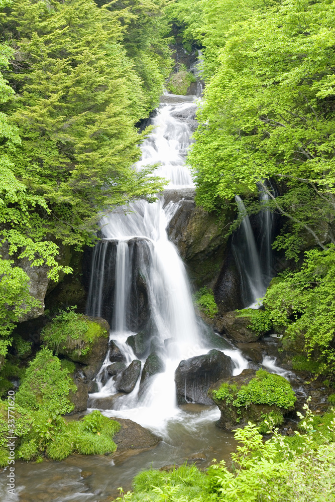 Obraz premium 竜頭ノ滝