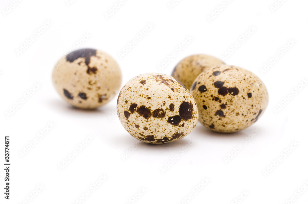 qual's eggs qual's eggs