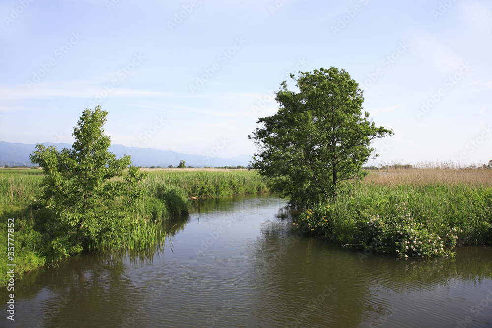 Obraz premium 福島潟