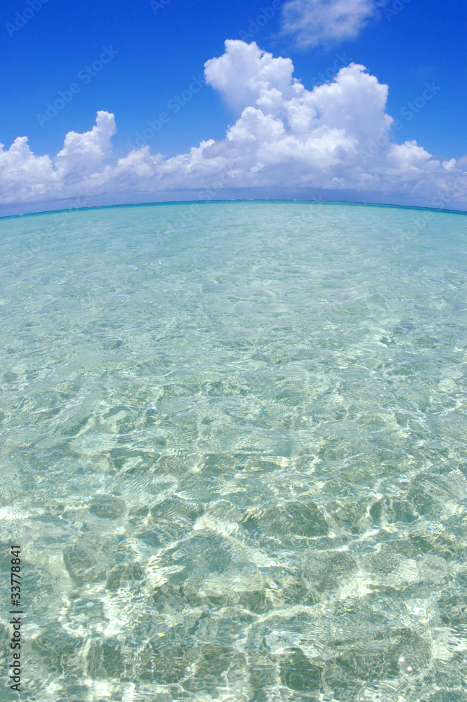 海 海