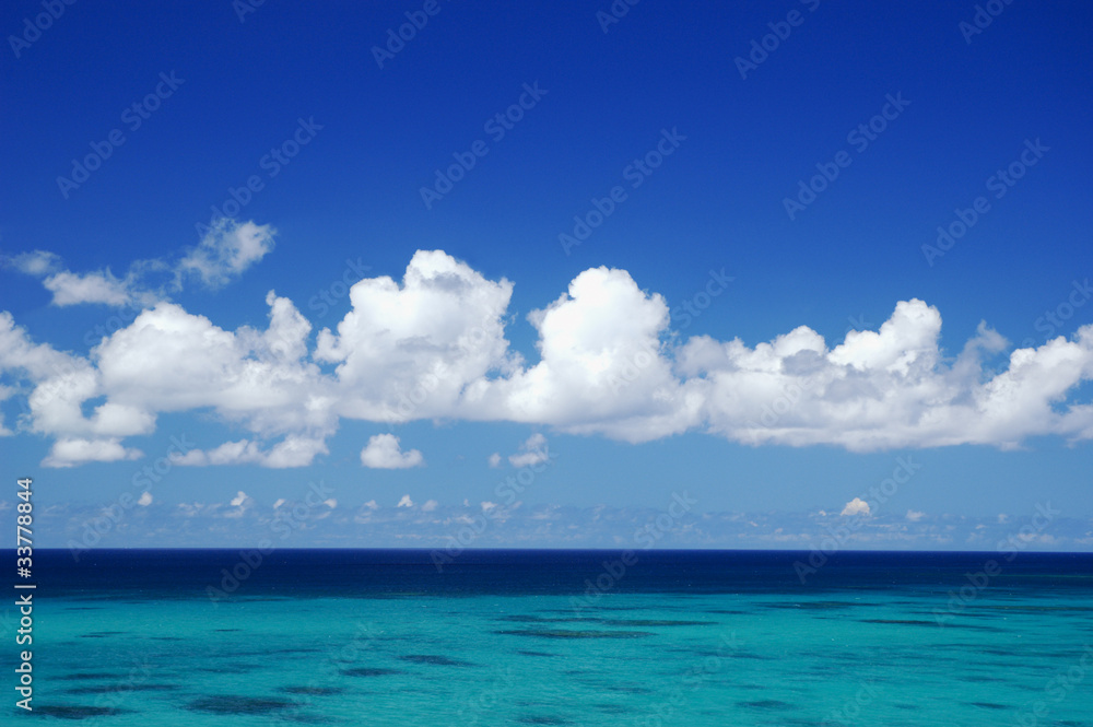 海 海