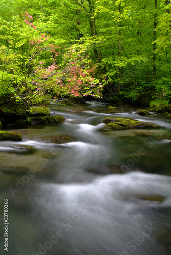 奥入瀬渓流 © paylessimages