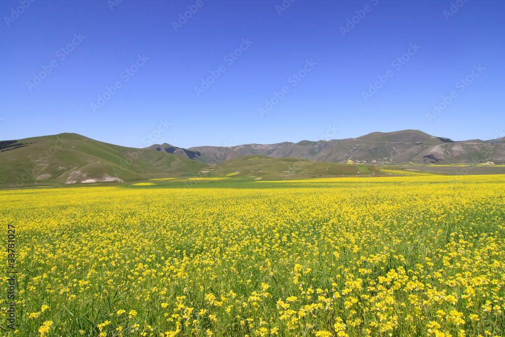 Piano Grande - Monti Sibillini - Umbrien - Italien - Hochebene Piano Grande - Monti Sibillini - Umbrien - Italien - Hochebene