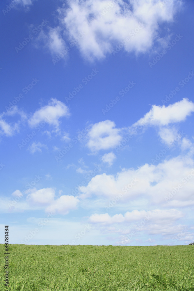 草原と空