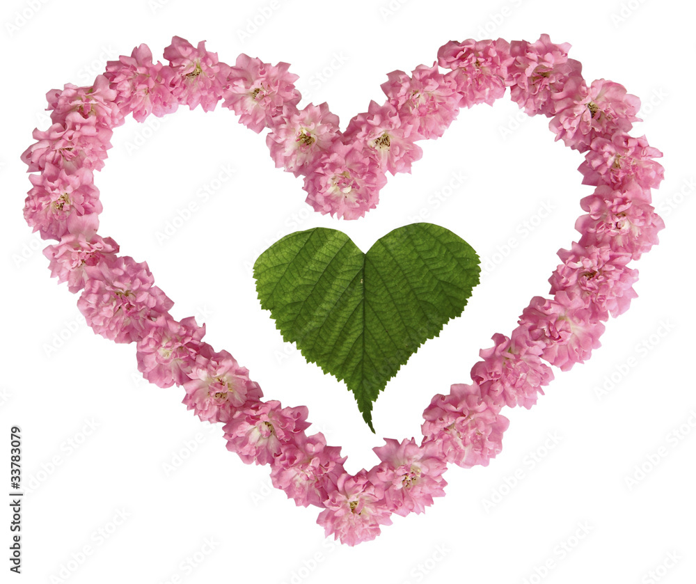 Зеленый лист внутри сердца из розовых роз