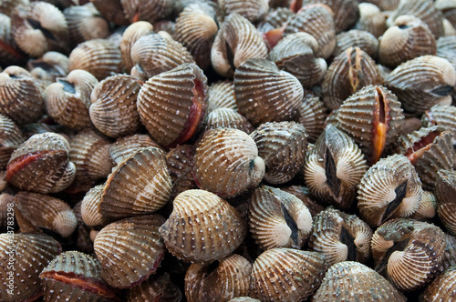 sea product from the adaman sea in local fish market