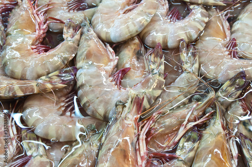 sea product from the adaman sea in local fish market