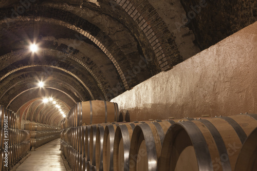 Bodega antigua abovedada en Ribera del Duero
