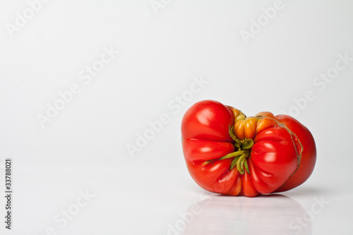 Gen-Tomate