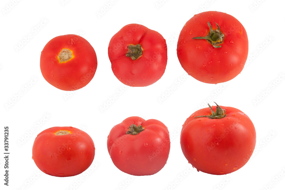 tomatoes on a white background tomatoes on a white background