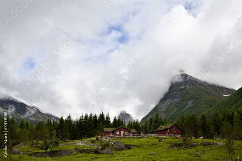 Traditional wooden Norwegian houses in Sognefjord region