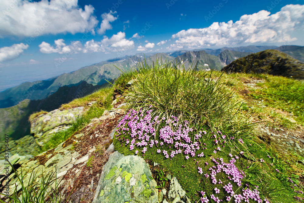 Landscape with Fagaras mountains in Romania Landscape with Fagaras mountains in Romania