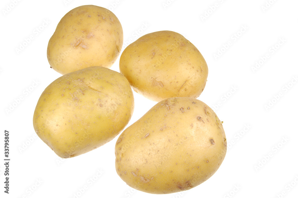 Bunch of Golden Potatoes Isolated on White Bunch of Golden Potatoes Isolated on White