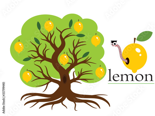 Lemon tree,vector
