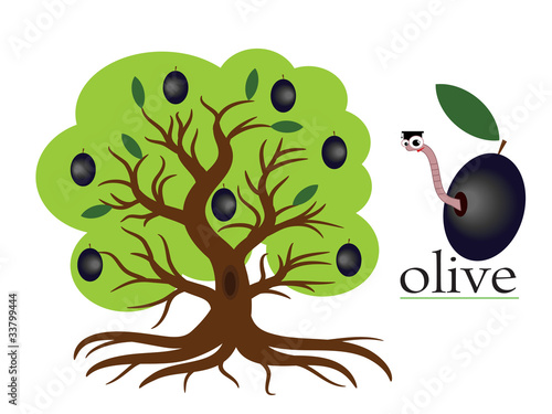 Olive tree,vector.
