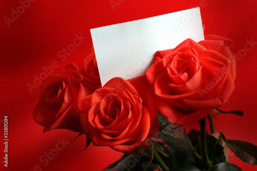 red rose with card