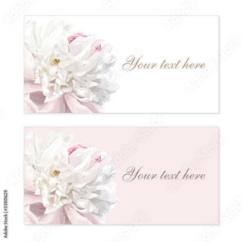 Fototapeta Naklejka Na Ścianę i Meble -  Set of flower greeting cards