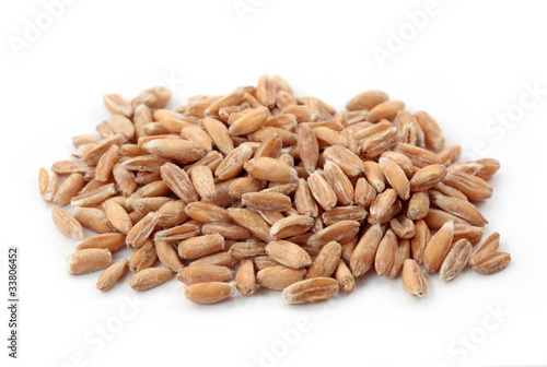 Εκτύπωση καμβά Spelt  isolated on white background