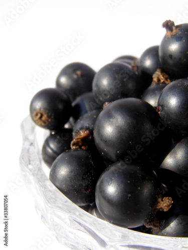 blackcurrant - black sweet berries on white