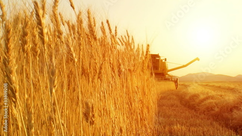 harvesting machine sunset crimson photo