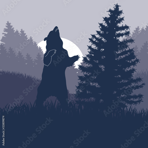 Animated brown bear in wild night forest foliage illustration photo