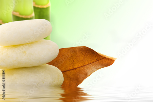 Photography reflection of the stones and bamboo on the water