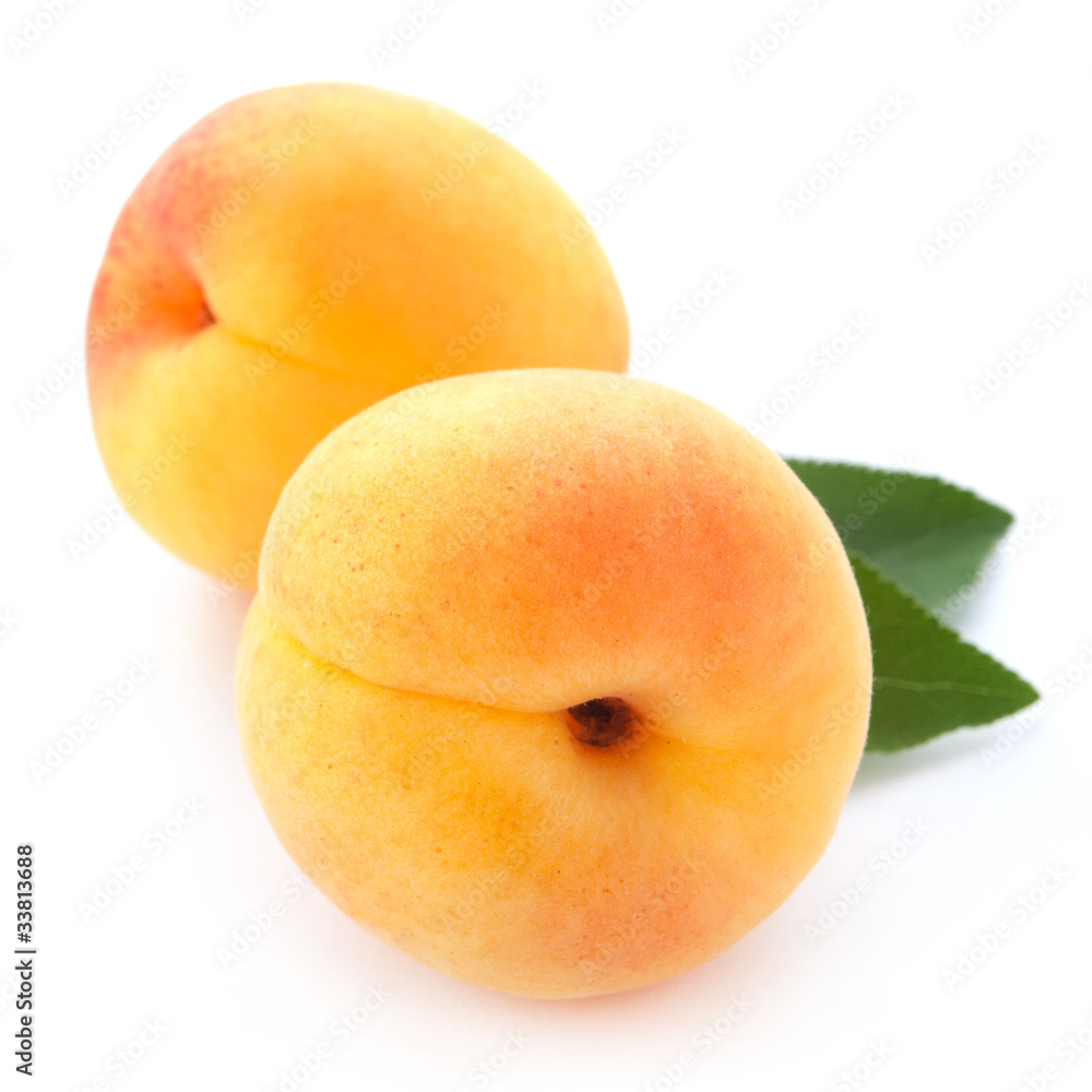 Apricot fruits with leaves isolated on white background. Apricot fruits with leaves isolated on white background.