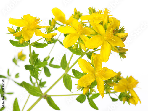 St. John’s Wort