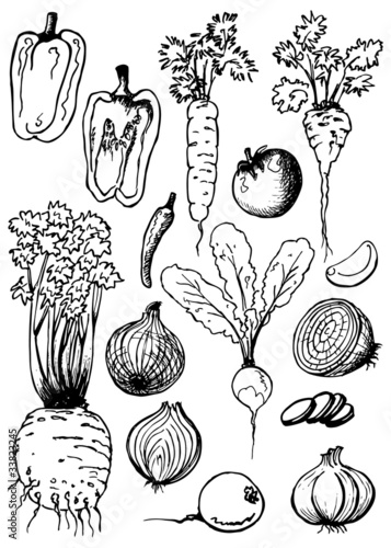 Vegetable doodles set - soup ingredients